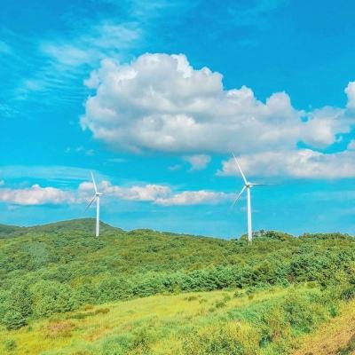 妖怪物语官方版下载