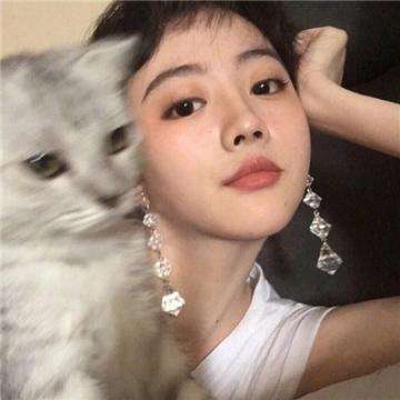 陆战指挥官手游下载